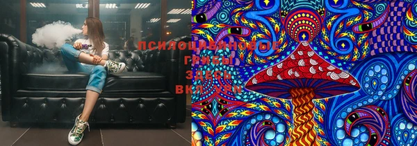 гашик Верхний Тагил