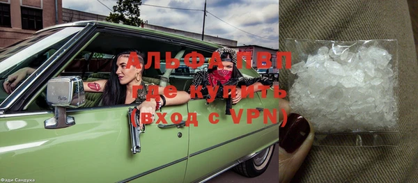 прущие крисы Бородино